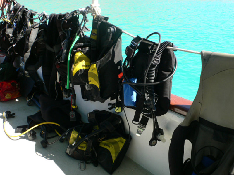 Scuba equipment hangs to dry in the warm Baja California Sur sun.