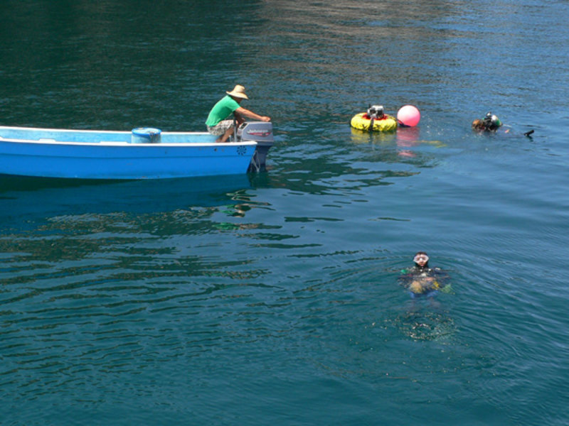 A diver kicks out to the buoy that is marking the location of the next dive to collect an airlift bulk sample.