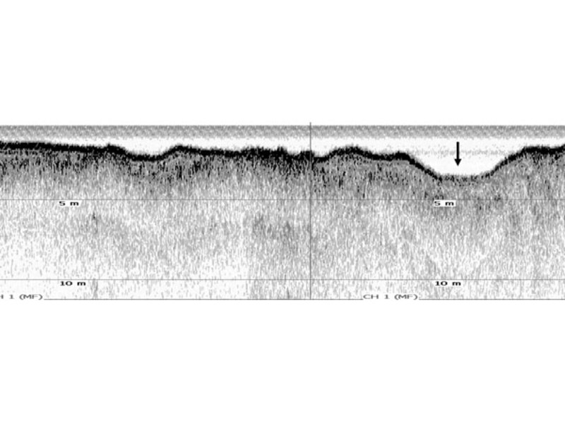 Subbottom profiler images showing reconstruction of part of the paleoAucilla in the Gulf of Mexico. Depression indicated by arrow on right is a sediment infilled paleoriver channel.