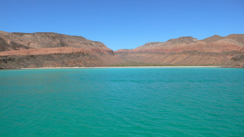 A main focus of our research, this area now called Ballena Bay was above sea level 13,000 years ago. A late Pleistocene-age archaeological site is located on the left finger of the bay, and a paleostream channel extends onto the submerged portion of the landscape.