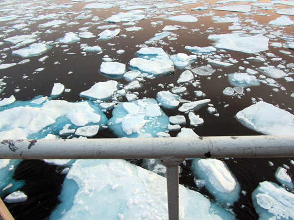 Pieces of multi-year ice off Healy’s port side.