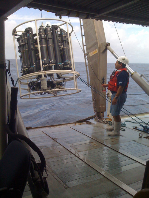 Scientists launch the CTD rosette that will take water samples and measure conductivity (or salinity), temperature, and depth. Scientists use these samples to calibrate the oxygen and salinity sensors and to measure for petroleum products, plankton, and bacteria.