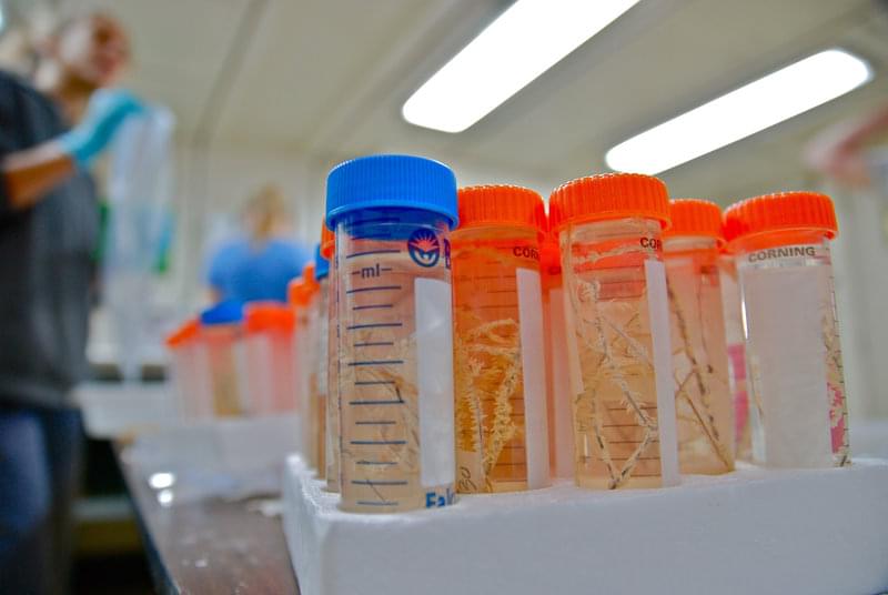 Throughout the day scientists and grad students ready the samples for transport back to the labs on land.