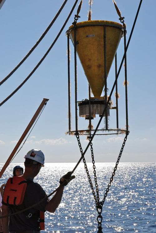 Hoisting the sediment trap aboard after recovery.