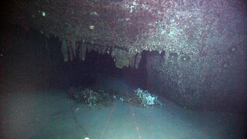 Large rusticles drip from the scarred hull of the GulfOil where the torpedo ripped through.