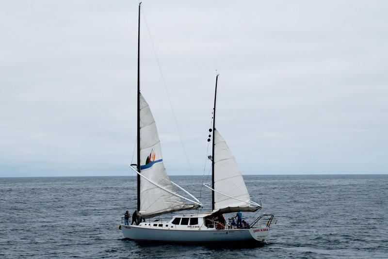 The Derek M. Baylis, a San Francisco-based sailboat owned by Sea Life Conservation helped make the San Andreas project a “green” oceanographic research project. Powered by a combination of wind and diesel, the Baylis runs quietly and emits little pollution. During the entire expedition, the Baylis’ average fuel consumption was 1.6 gallons per hour.