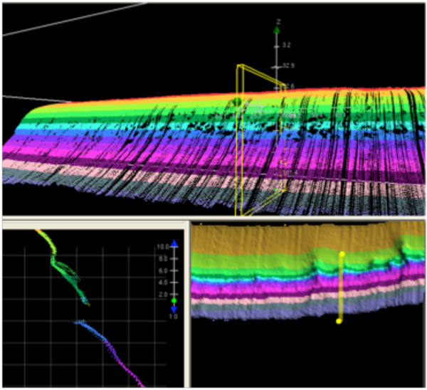 Challenger Bank as seen in CARIS subset mode showing point cloud data in 3D mode, profile and plan views.