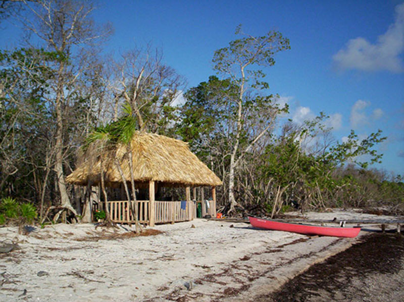 Palapa