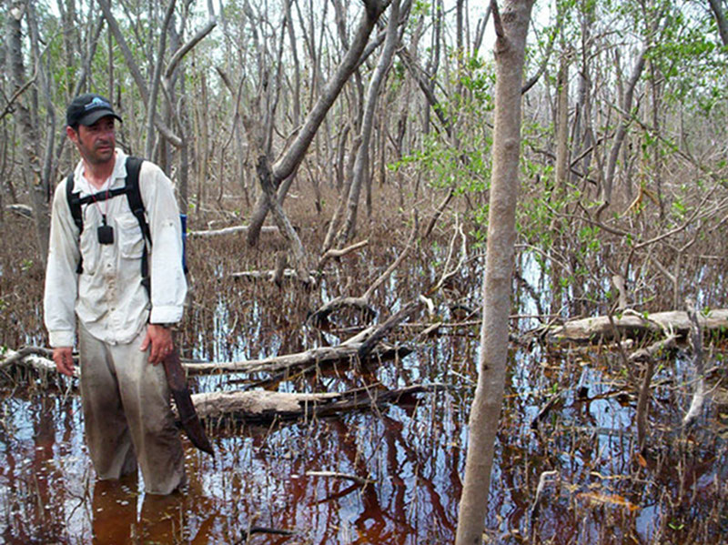 Flooded Forest