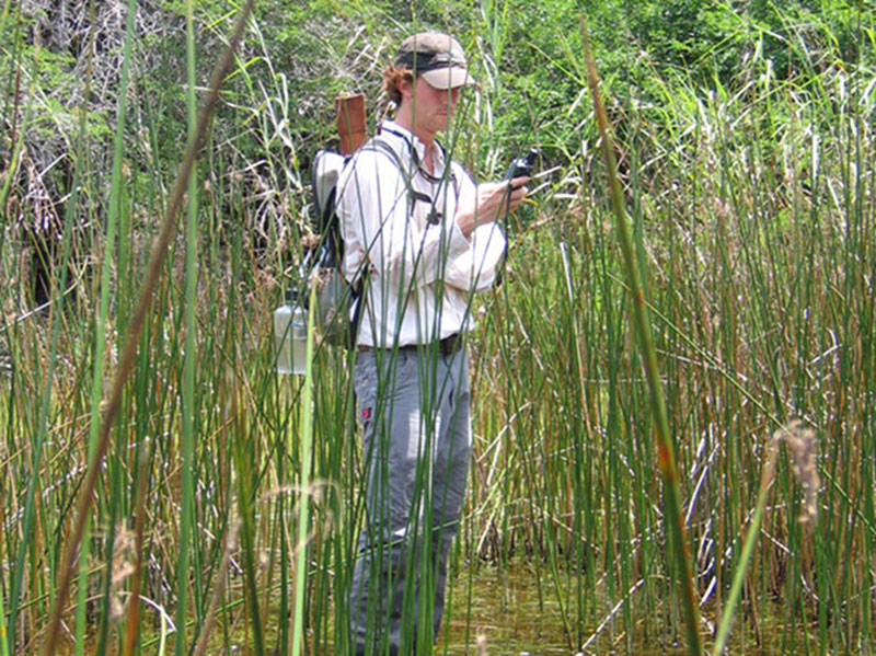 Water Search