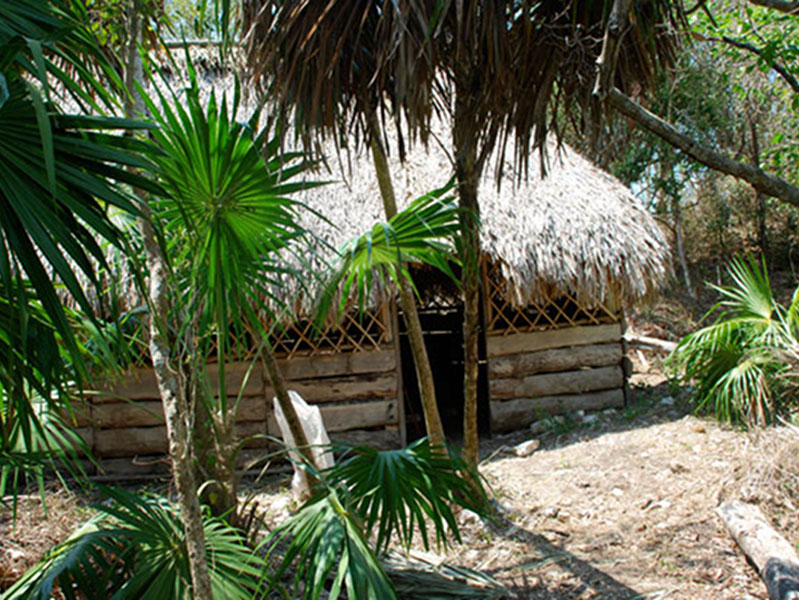 Main Palapa