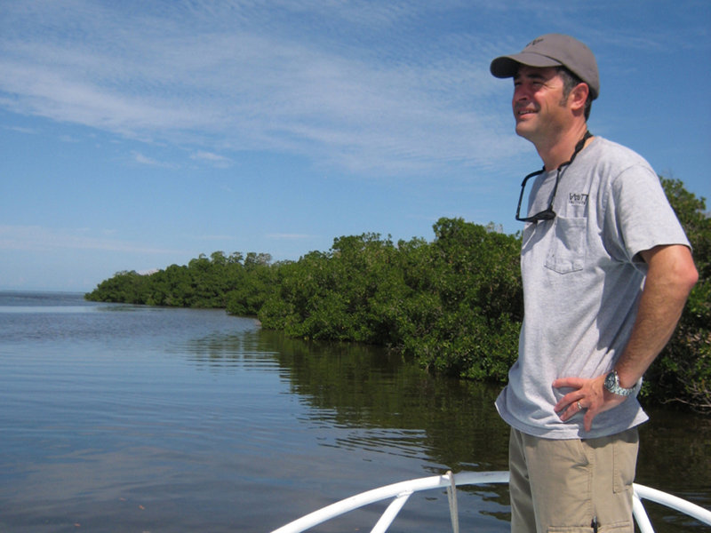 Toward Holbox Lagoon