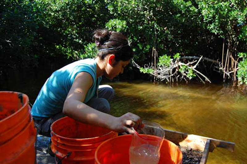 Georgia State University student, Hazel Sanchez, water-screens buckets of sediment from the excavation unit looking for artifacts.
