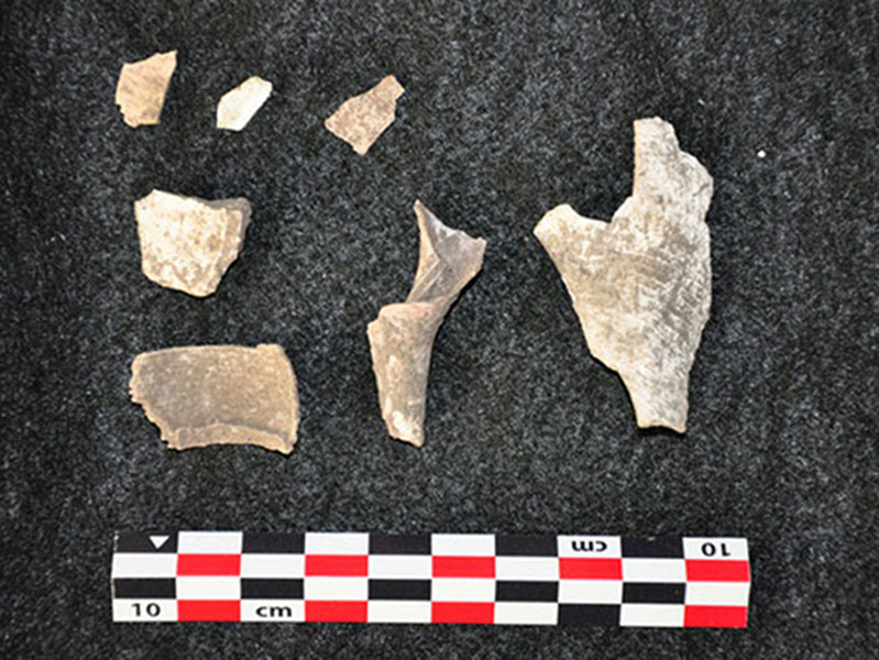 Shell fragments found in excavation units from Vista Alegre.