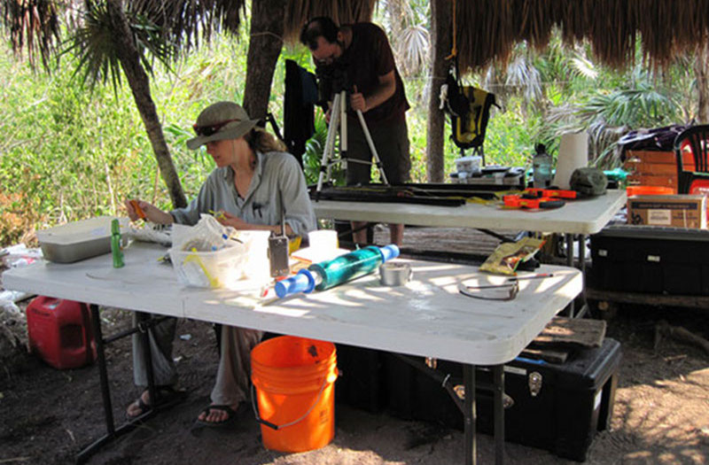 Dr. Beverly Goodman samples a core in the field, while behind her Wes Patterson carefully photographs another core prior to sampling.