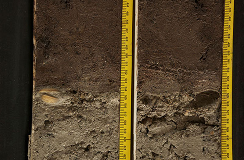 A cross section of a core shows variations in the sediments captured in this particular core. There is a noticeable change in color of sediments, as well as a change in shell material present.