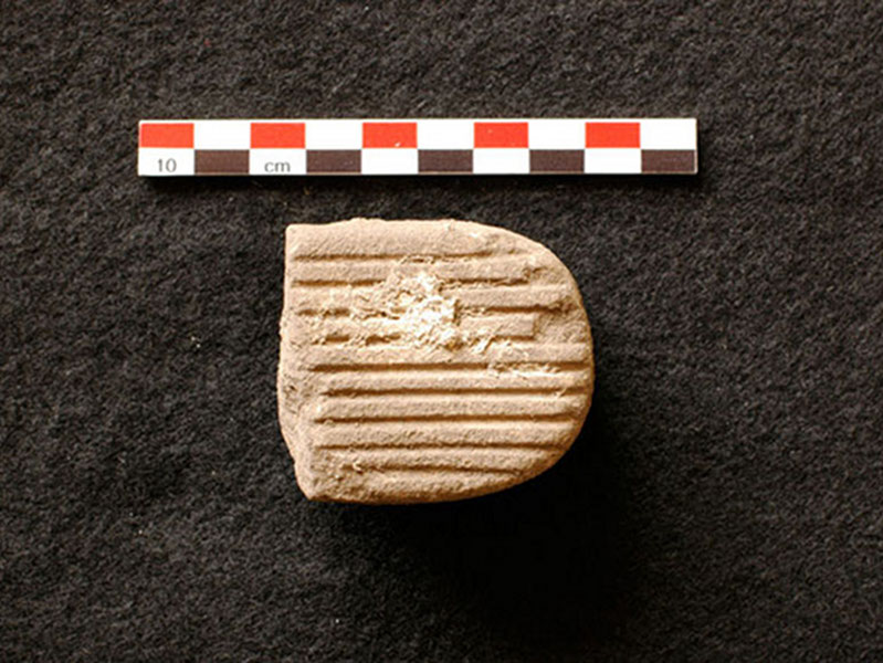 Broken pieces of pottery, or sherds, are carefully examined in one of the excavation units at Vista Alegre. Sherds were commonly found in middens and excavation units at the site.