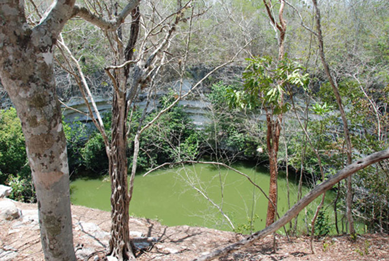 Cenotes provided the ancient Maya with the majority of their water needs.