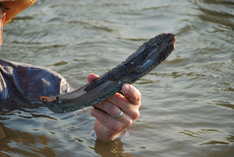 A mysterious artifact Dominique pulled from the midden in the East Harbor.