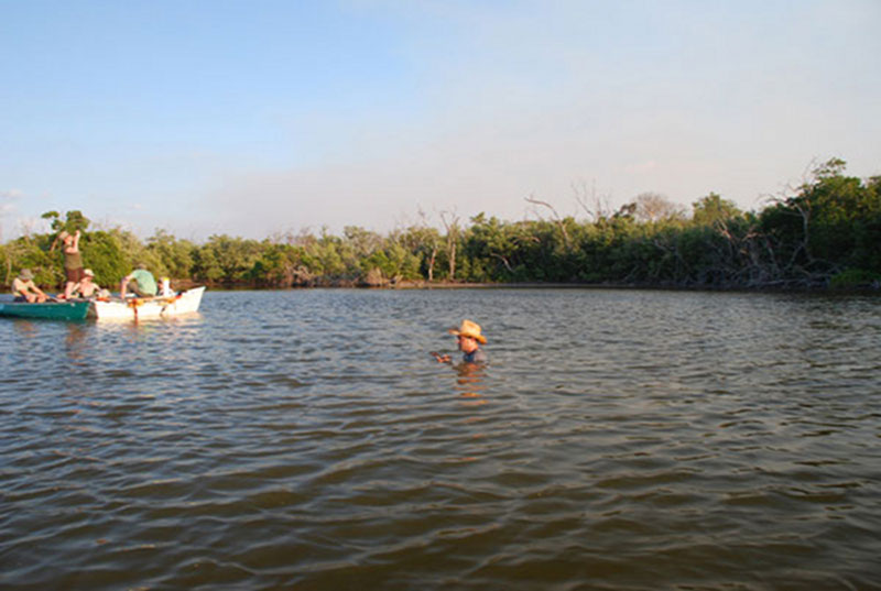 As part of the team works to sample cores from the “East Harbor” area of the site, Dominique Rissolo ventures into the water to explore an interesting feature discovered not too far from the shoreline. 