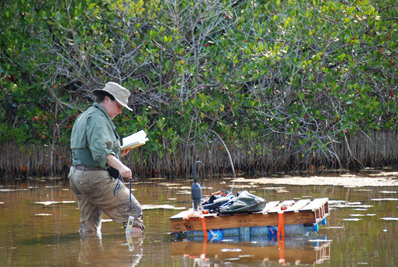 Standing knee-deep in a partially enclosed lagoon-like area near Vista Alegre, Trish Beddows measures the salinity and pH of the water to gather another data point for the salinity map of the area surrounding Vista Alegre.