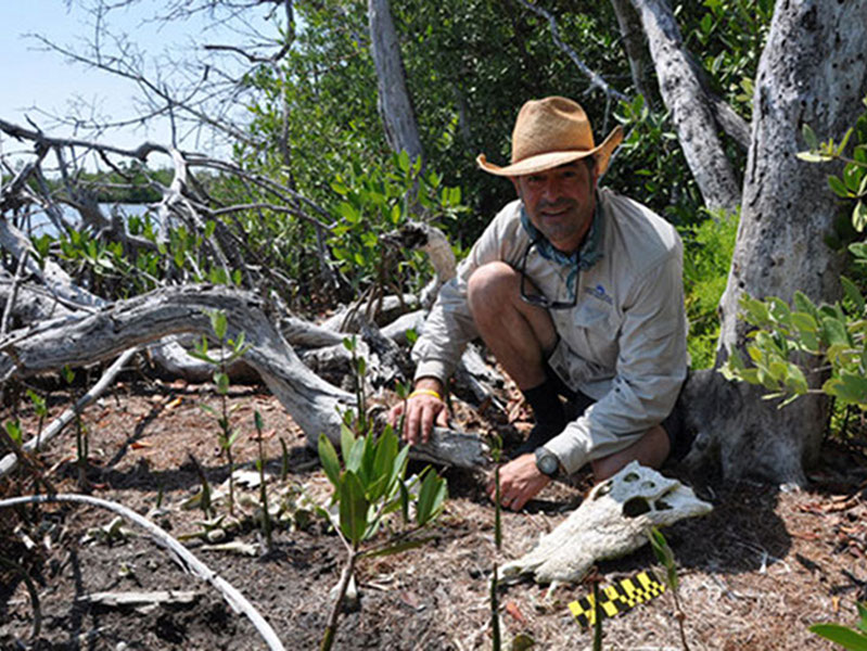 Dominique Rissolo helps Derek Smith measure and photo-document a partial crocodile skeleton that was discovered during an ecological survey near Vista Alegre.