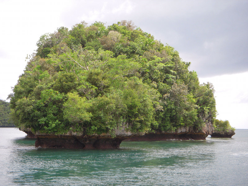Researchers encountered this small island, which has been severely eroded by wave action.