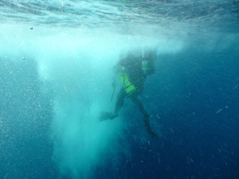 Divers plunge into the warm Pacific waters to begin their deep-reef assessment.