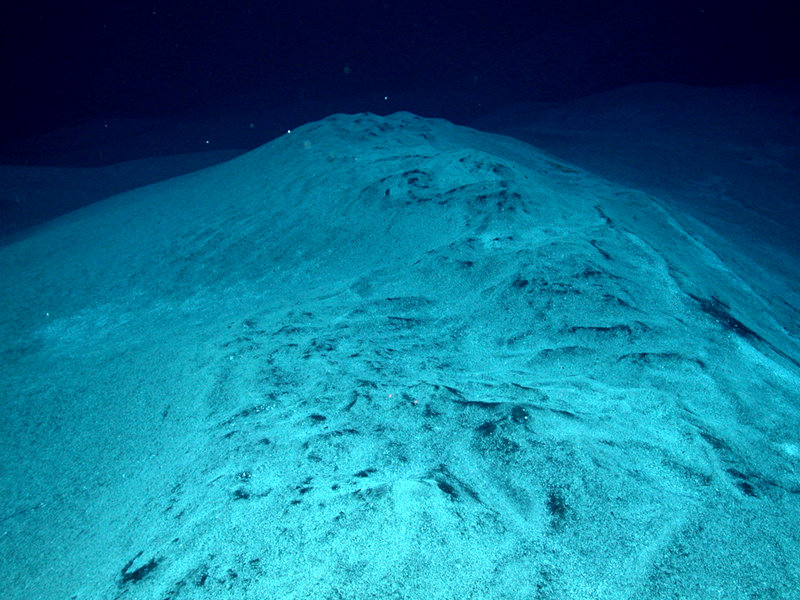 Microbial mats coated in white sulfate material were observed and sampled at several vent sites at West Mata in 2009.  These mats were dominated by Epsilonproteobacteria which is a class of bacteria often associated with sulfur oxidation in marine environments.