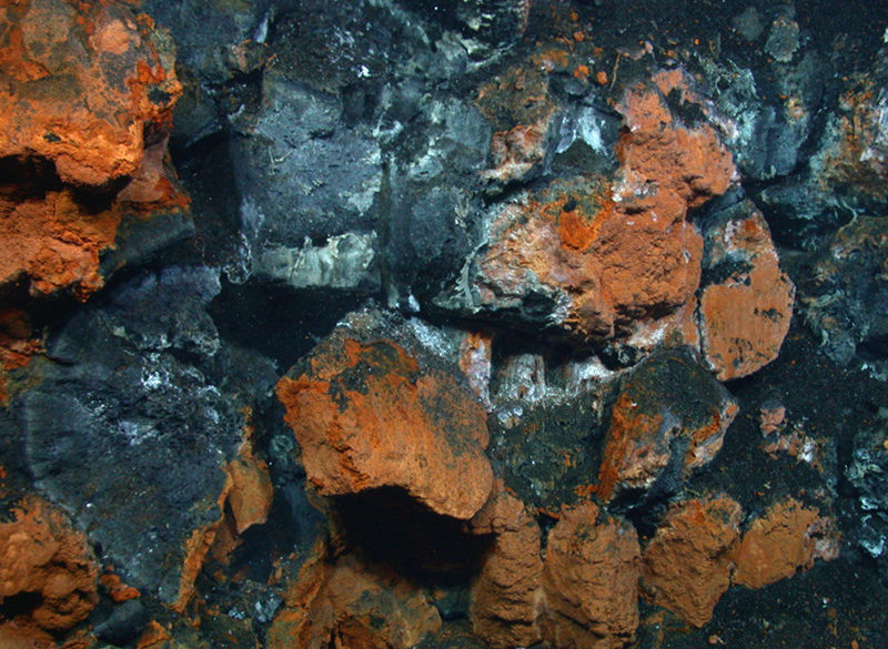 The orangish-brown material is iron oxide encrusted microbial mats, often observed at low-temperature hydrothermal vents.