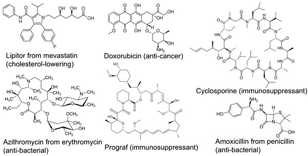 Did you know? Molecular structures of some mainstay drugs – directly isolated, or based on, microbial natural products.