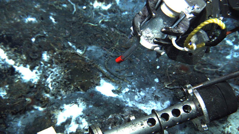 Syringe sampler used by ROV manipulators to collect microbial mat samples.