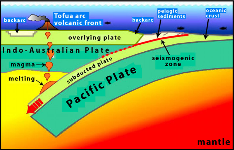 This illustration shows the Pacific plate in the east colliding with the Indo-Australian plate in the west. A consequence of this collision is subduction with the down going slab comprised of oceanic crust, or lithosphere, and a thin veneer of pelagic sediment. This causes extension behind the subduction zone, which is represented by backarc basins forming behind the arc front. At certain depths, usually around 200 kilometers (~100 nautical miles), there is melting of the subducted materials. The melting produces magmas that rise buoyantly to pond in the overlying mantle wedge and periodically erupt on Earth's surface as lavas, forming arc volcanoes.