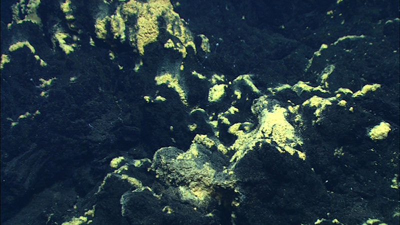 Orange material, which is iron oxide encrusted microbial mats and minerals, with a soft coral visible in the distance.