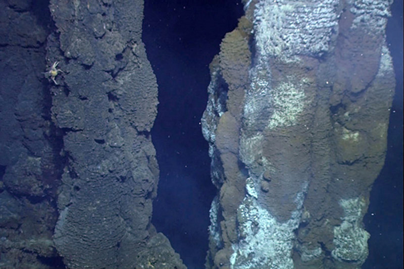 Large chimneys discovered at Fonualei Rift. The site was named Laloa Kakai today by the Submarine Ring of Fire 2012 exploration team, which translates to “tall people” in Tongan.