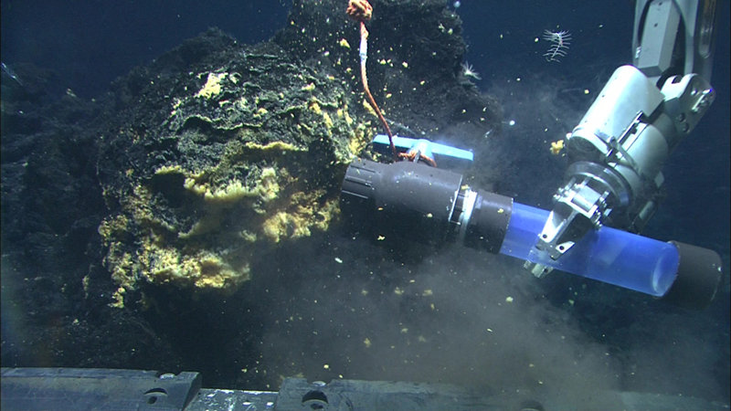 'Texas Scoop' held by the manipulator claw of Quest 4000 while scooping up bacterial mats at Vai Lili.