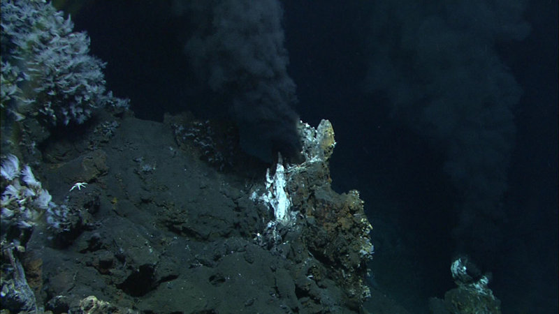 Two black smoker chimneys belch hot vent fluid up into the water column.