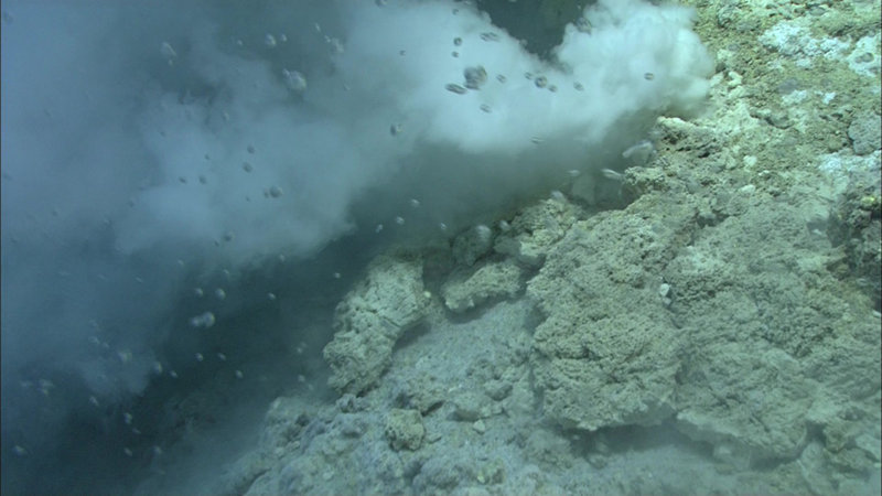 Carbon dioxide is released into the water column as small droplets of liquid at Niua North.