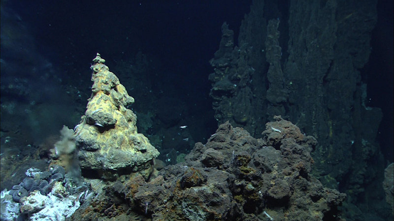 A great diversity of chimneys were seen at Mata Tolu.