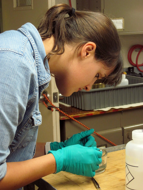 Anabel Martinez prepares for samples to arrive in the lab from the ROV dive.