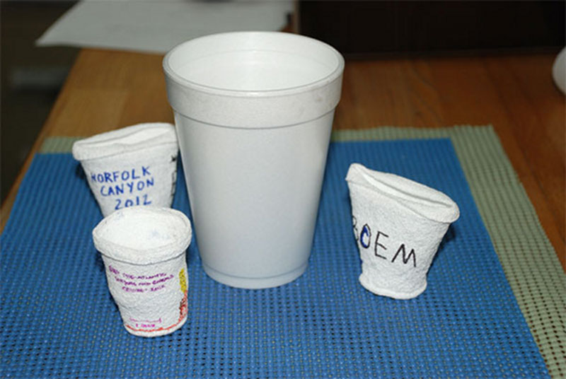 The cup in the center is a normal Styrofoam cup surrounded by cups that were colored by school children at the North Carolina Museum of Natural Science. The colored cups were sent down on the CTD to a depth of about 1000 meters. At that depth, the pressure of the water squeezes and shrinks the cups. While we cannot survive at that depth, the benthic deepwater animals thrive there.