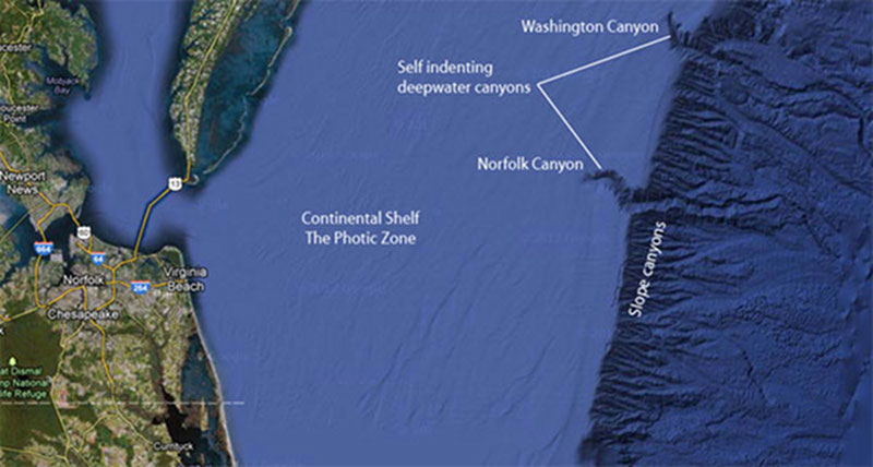 Google map showing the Continental Shelf off of Virginia Beach where the Norfolk Canyon lies. Creatures that live in these deep canyons are engineered for a high-pressure, low light environment.