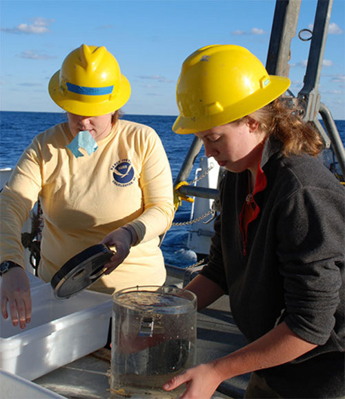 Ph.D. Candidates Esprit Heestand Saucier and Kirstin Meyer process specimens collected by the Kraken II Remotely Operated Vehicle (ROV).