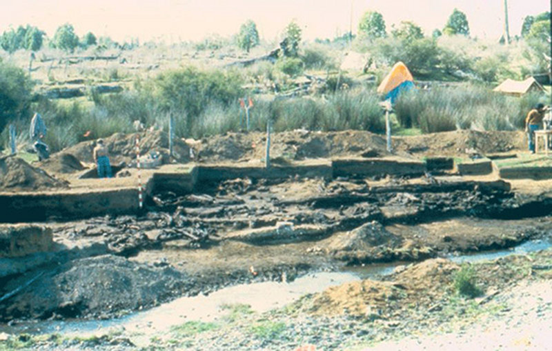 Excavations at Monte Verde along Chinchihuapi Creek (in the foreground), where the excavators are uncovering residential structures.