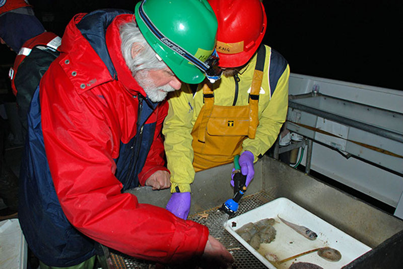 Marc Lavaleye and Craig Robertson hose down samples to remove mud, prior to sorting by species.