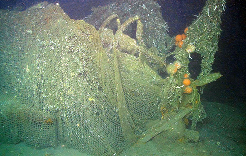 One of the German destroyers damaged by fishing gear.
