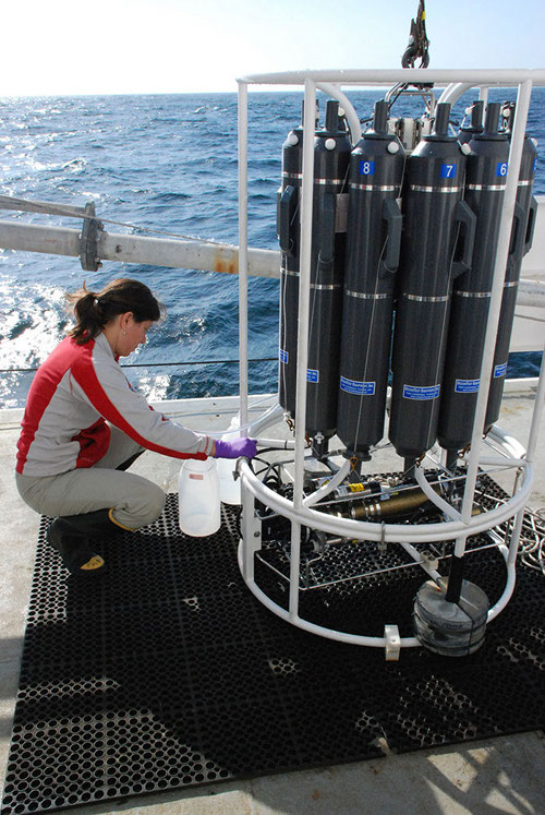 Scientist Nancy Prouty collects water from the Niskin bottles on the CTD after deployment.