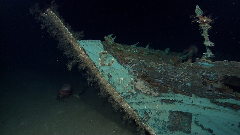 While most of the wooden hull has long since disintegrated from the shipwreck, copper that sheathed the hull beneath the waterline as a protection against marine-boring organisms remains, leaving a copper shell that retains the form of the ship. The copper has turned green due to oxidation and chemical processes over more than a century on the seafloor. Oxidized copper sheathing and portions of the draft marks are visible on the bow of the ship. The grey strip covering the stem is lead. Image courtesy NOAA Okeanos Explorer Program.
