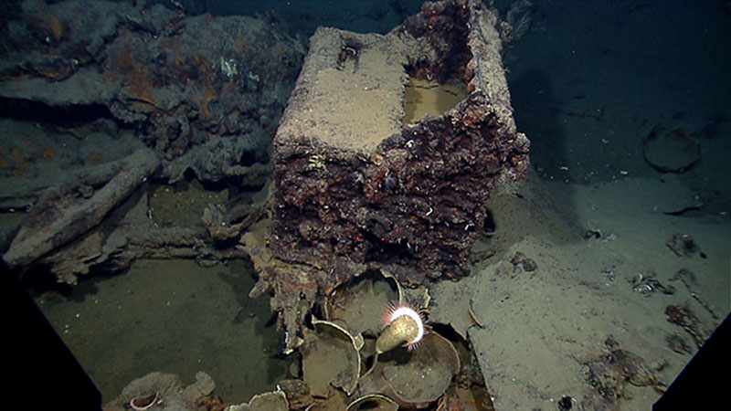 The ship’s iron stove rests on the edge of a lead sheet placed underneath to protect the wooden ship from catching on fire. It is rare to find a stove on a shipwreck in such good condition. This one appears to be tipped over on its back. The broken ceramic jugs near the stove were most likely used for food or water storage. Their style is indicative of a type made in the Yucatan. Image courtesy NOAA Okeanos Explorer Program.