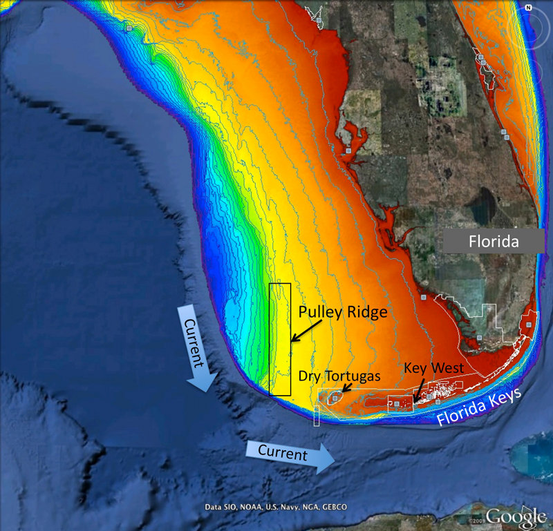 Figure 1. Map of project area showing Pulley Ridge, off the west coast of Florida at depths of 200-330 feet in relation to the downstream reefs of the Dry Tortugas and Florida Keys. Colors represent water depth, which ranges from 33 feet (red) to depths of 820 feet or greater (dark blue). Current arrows depict prevalent current direction. Background image is from Google Earth and the depth information is from the U.S. Geological Survey and NOAA.